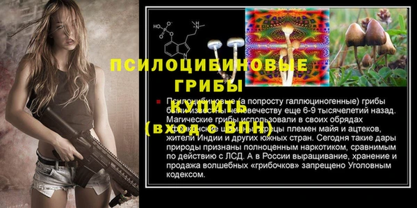 гашик Балабаново