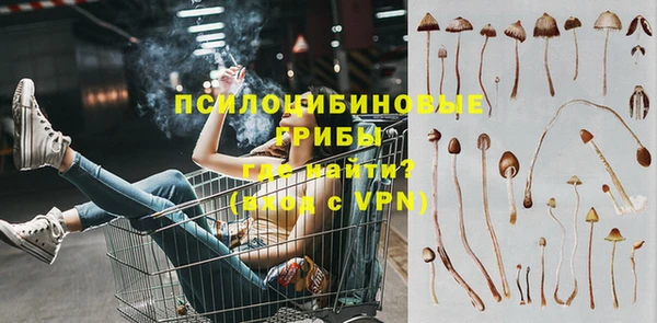 гашик Балабаново