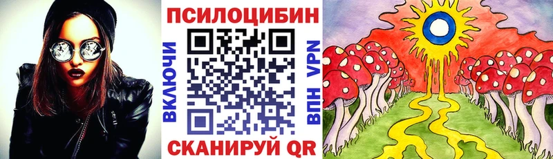Галлюциногенные грибы Psilocybine cubensis  мега вход  Покровск 
